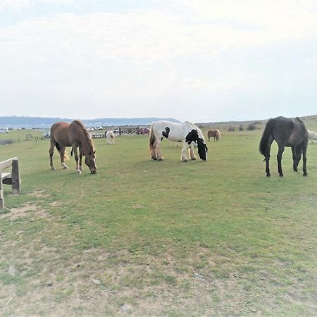 Greenways Valley Holiday Park Great Torrington Εξωτερικό φωτογραφία