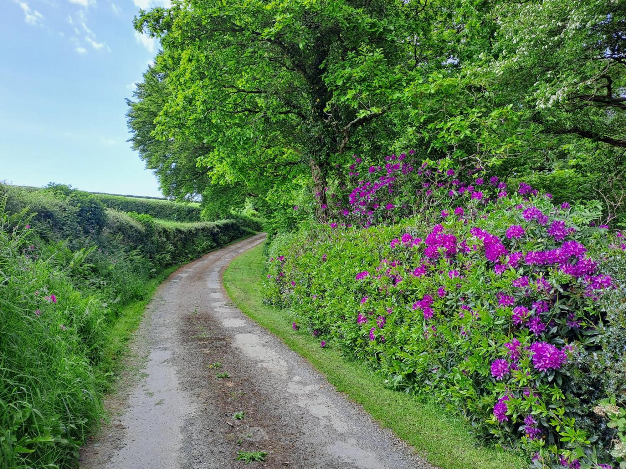 Greenways Valley Holiday Park Great Torrington Εξωτερικό φωτογραφία